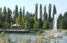 Városliget - Kaposvár szolgáltató