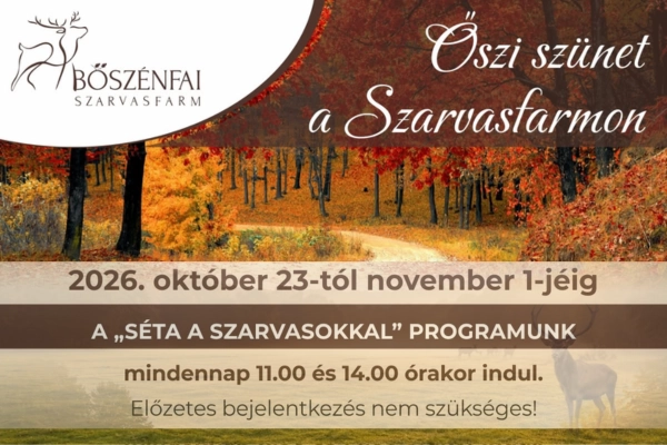Bőszénfai Szarvasfarm – őszi szünet a szarvasok között
