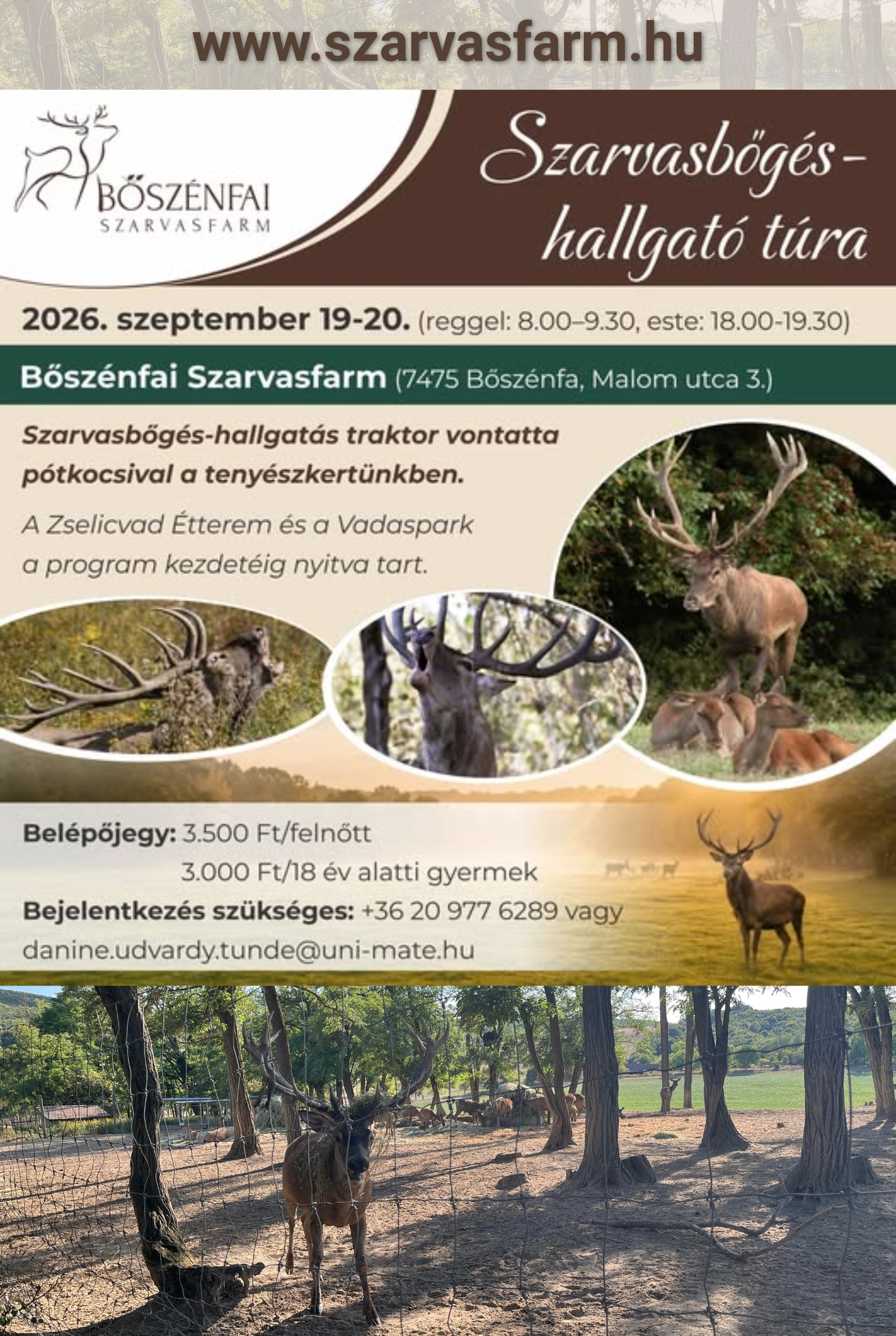 Szarvasbőgés-hallgató túra a Bőszénfai Szarvasfarmon esemény