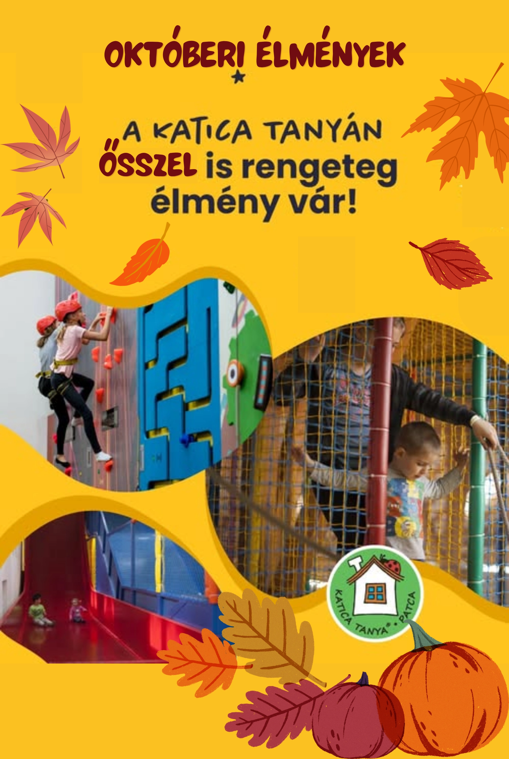 Őszi hétköznapok a Katica Tanyán – Matyivonat, Kiütlek és tehénfejés esemény