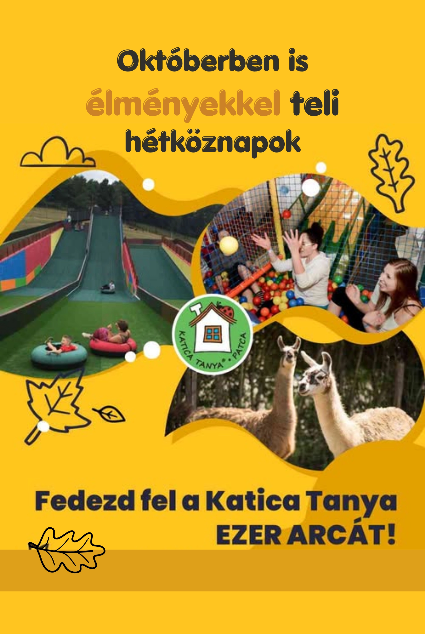 Őszi hétköznapok a Katica Tanyán – Matyivonat, Kiütlek és tehénfejés esemény