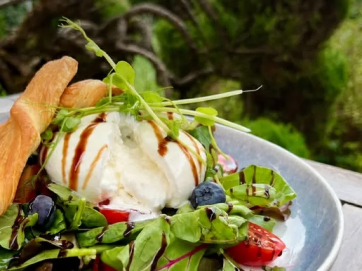 Krémes burrata, friss zöldsalátamix, paradicsom és sós ropogós